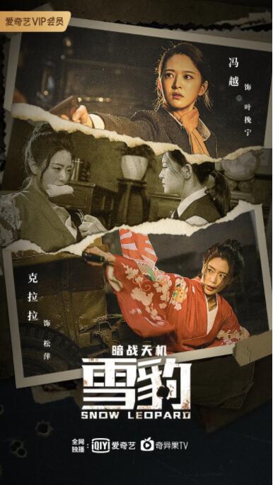 雪豹之暗戰(zhàn)天機(jī)(全集)