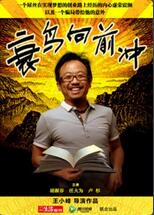 衰鳥向前沖(全集)