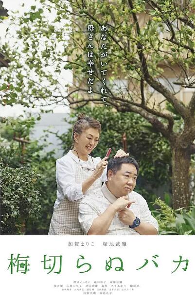 不砍梅樹的傻瓜(全集)