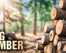 終極伐木達(dá)人 第一季(全集)