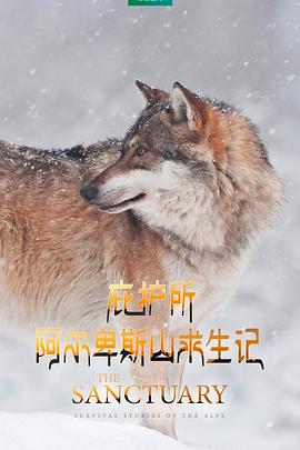 庇護(hù)所：阿爾卑斯山求生記(全集)