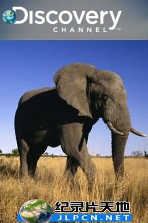 大象保衛(wèi)戰(zhàn)(全集)