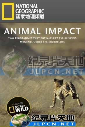 動(dòng)物構(gòu)造大揭密(全集)