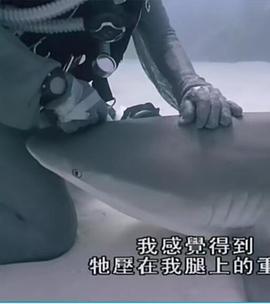 重訪藍(lán)色星球(全集)