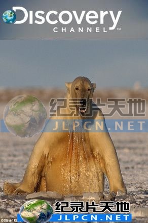 動物絕技大公開(全集)