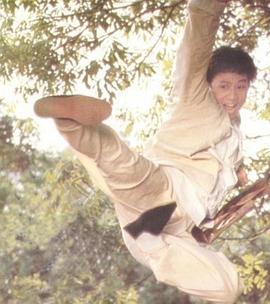 珠江群龍國(guó)語(yǔ)(全集)