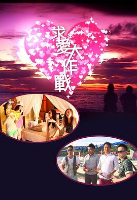 求愛大作戰(zhàn)2013(全集)