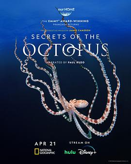 章魚的秘密(全集)