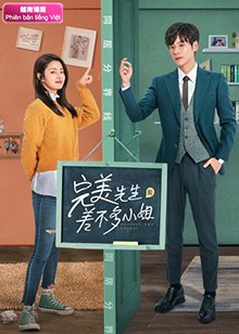 完美先生和差不多小姐越南語(yǔ)版(全集)