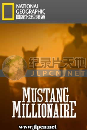 百萬馴馬大賽(全集)