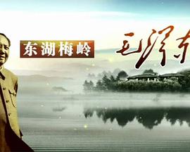 東湖梅嶺毛澤東(全集)