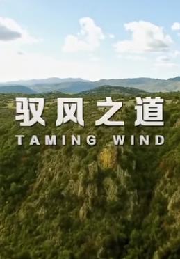 馭風(fēng)之道(全集)