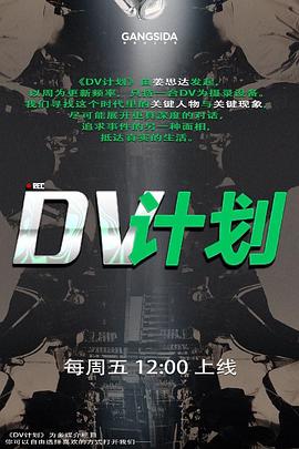 DV計劃