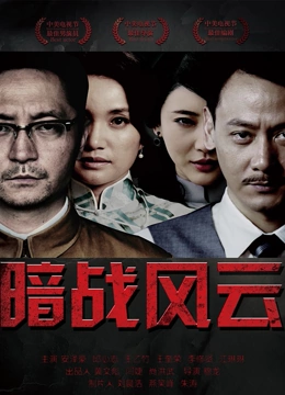 暗戰(zhàn)風(fēng)云(全集)