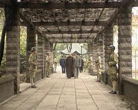 陳云在1949(全集)