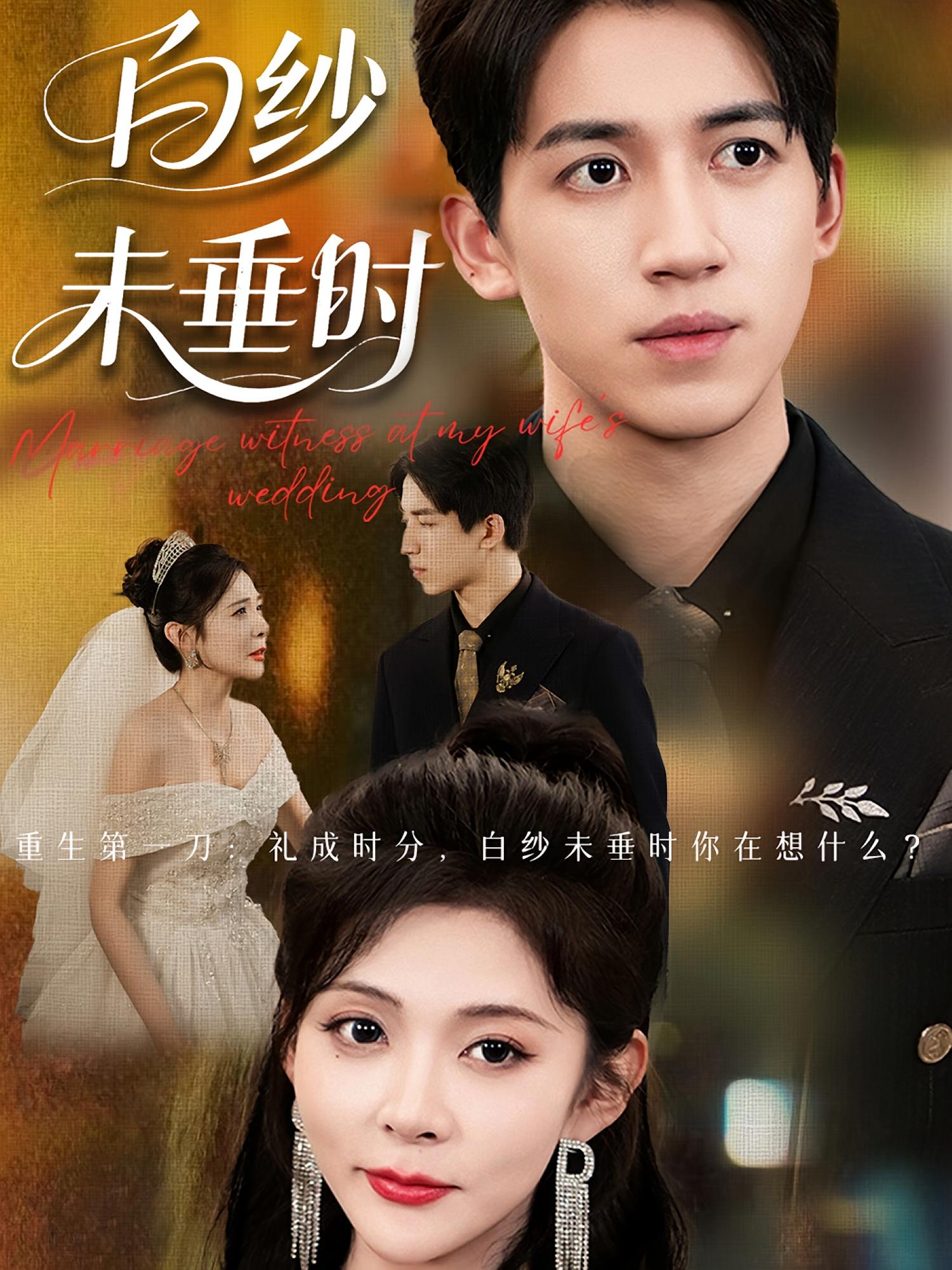 老婆婚禮我當(dāng)證婚人，白紗未垂時(shí)(全集)