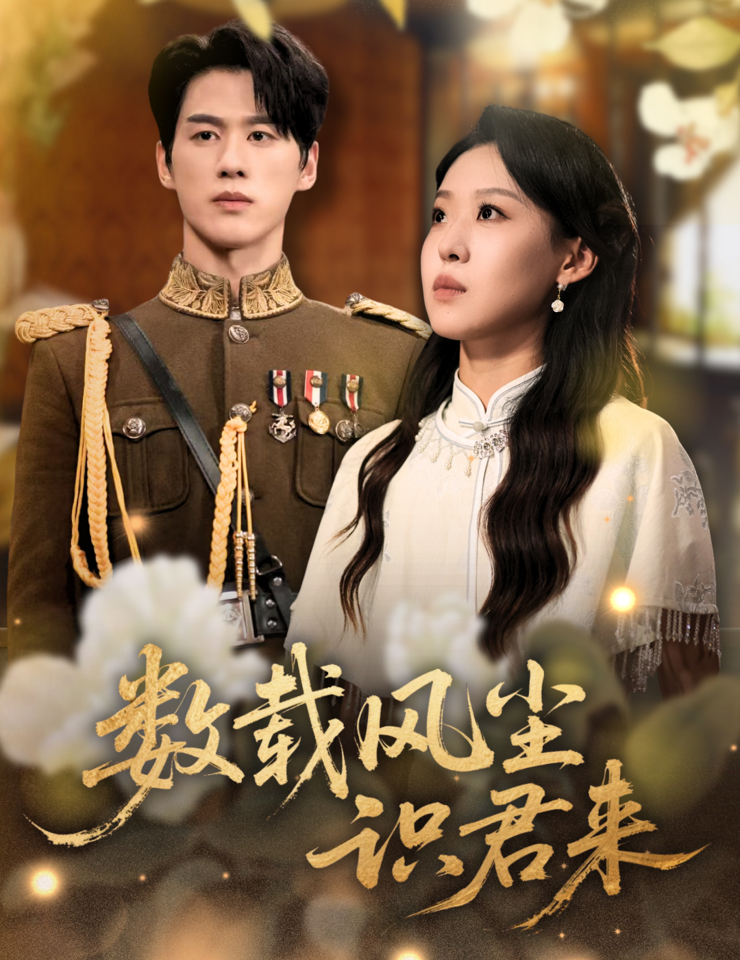 數(shù)載風(fēng)塵識君來(全集)