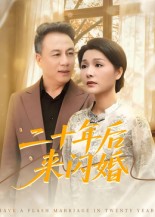 二十年后來閃婚(全集)
