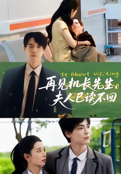 再見機(jī)長先生夫人已讀不回(全集)