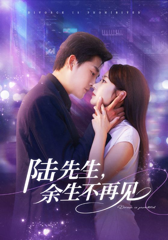 陸先生，余生不再見(jiàn)(全集)