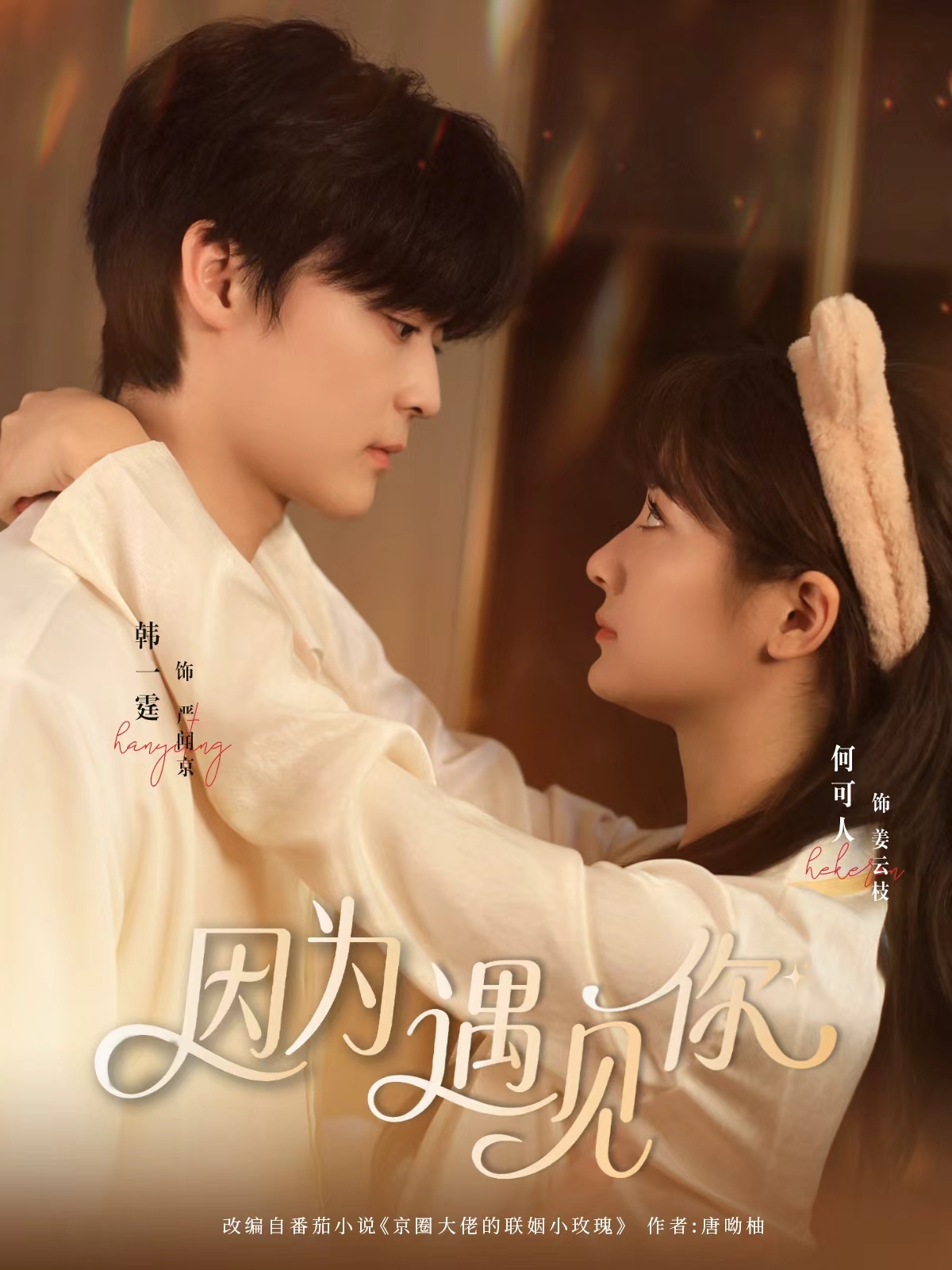 短劇因?yàn)橛鲆?jiàn)你(全集)