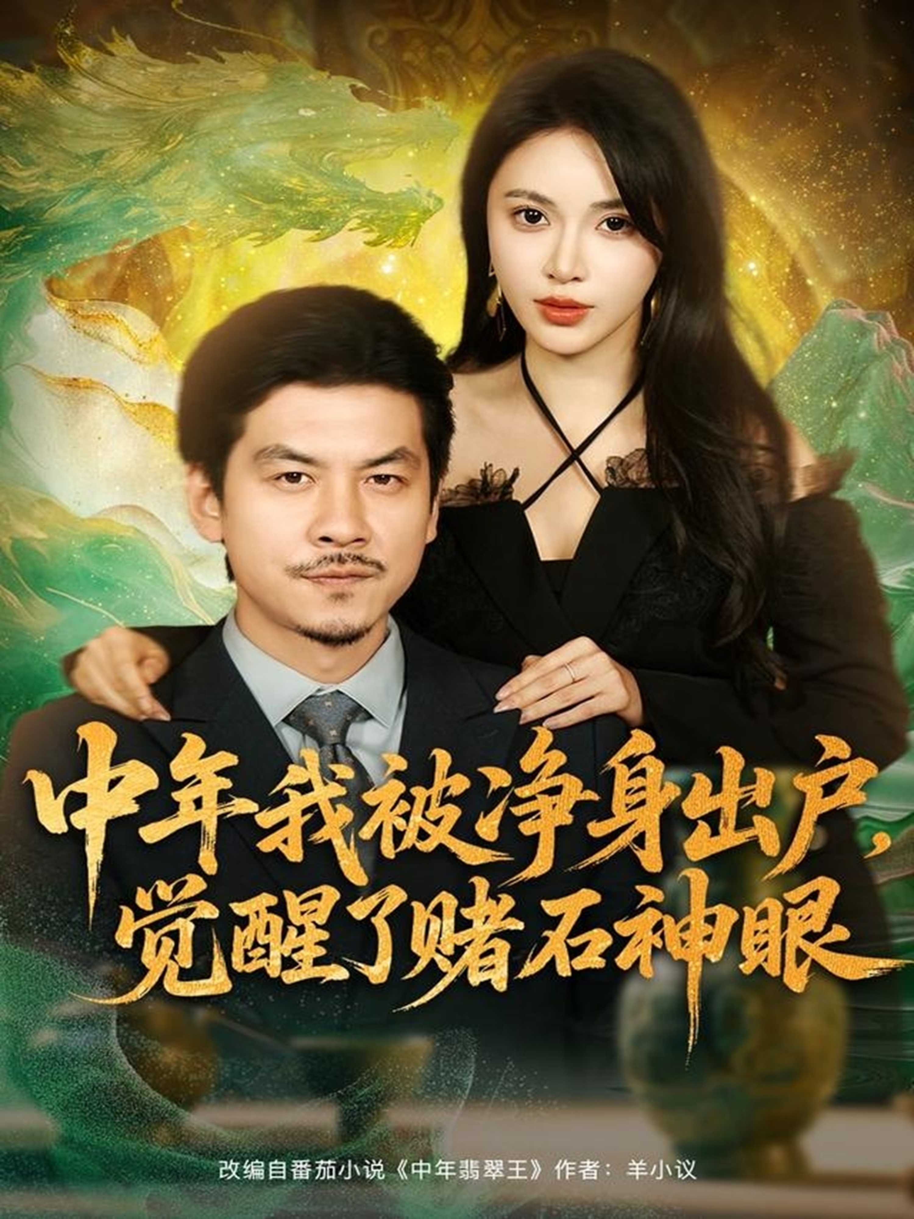 中年我被凈身出戶，覺(jué)醒了賭石神眼(全集)