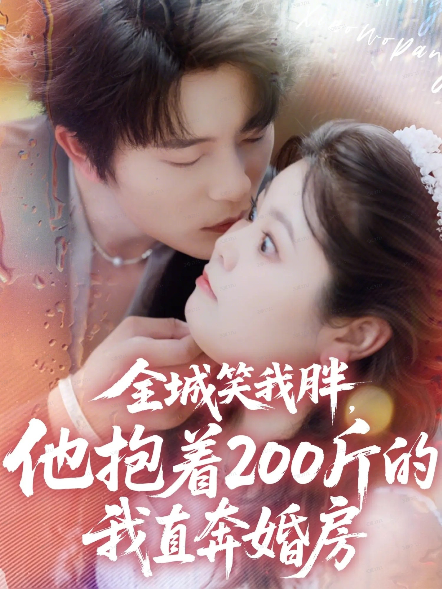 全城笑我胖，他抱著200斤的我直奔婚房(全集)