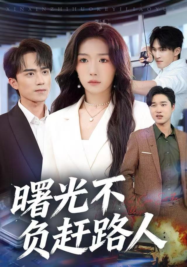 曙光不負(fù)趕路人(全集)