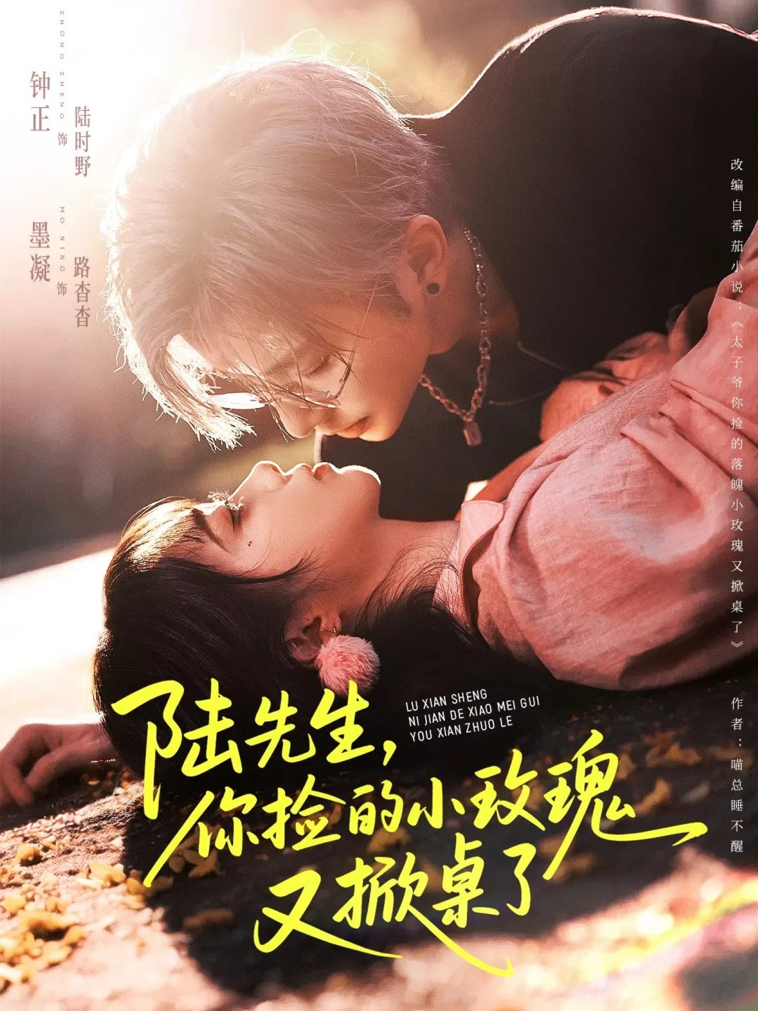 陸先生，你撿的小玫瑰又掀桌了(全集)