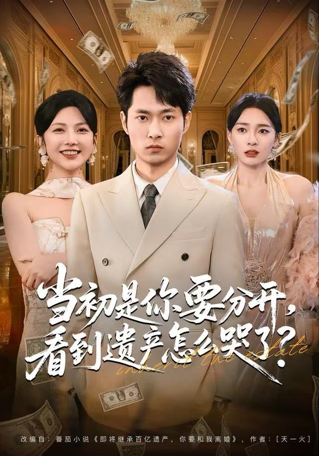 當(dāng)初是你要分開，看到遺產(chǎn)怎么哭了？(全集)
