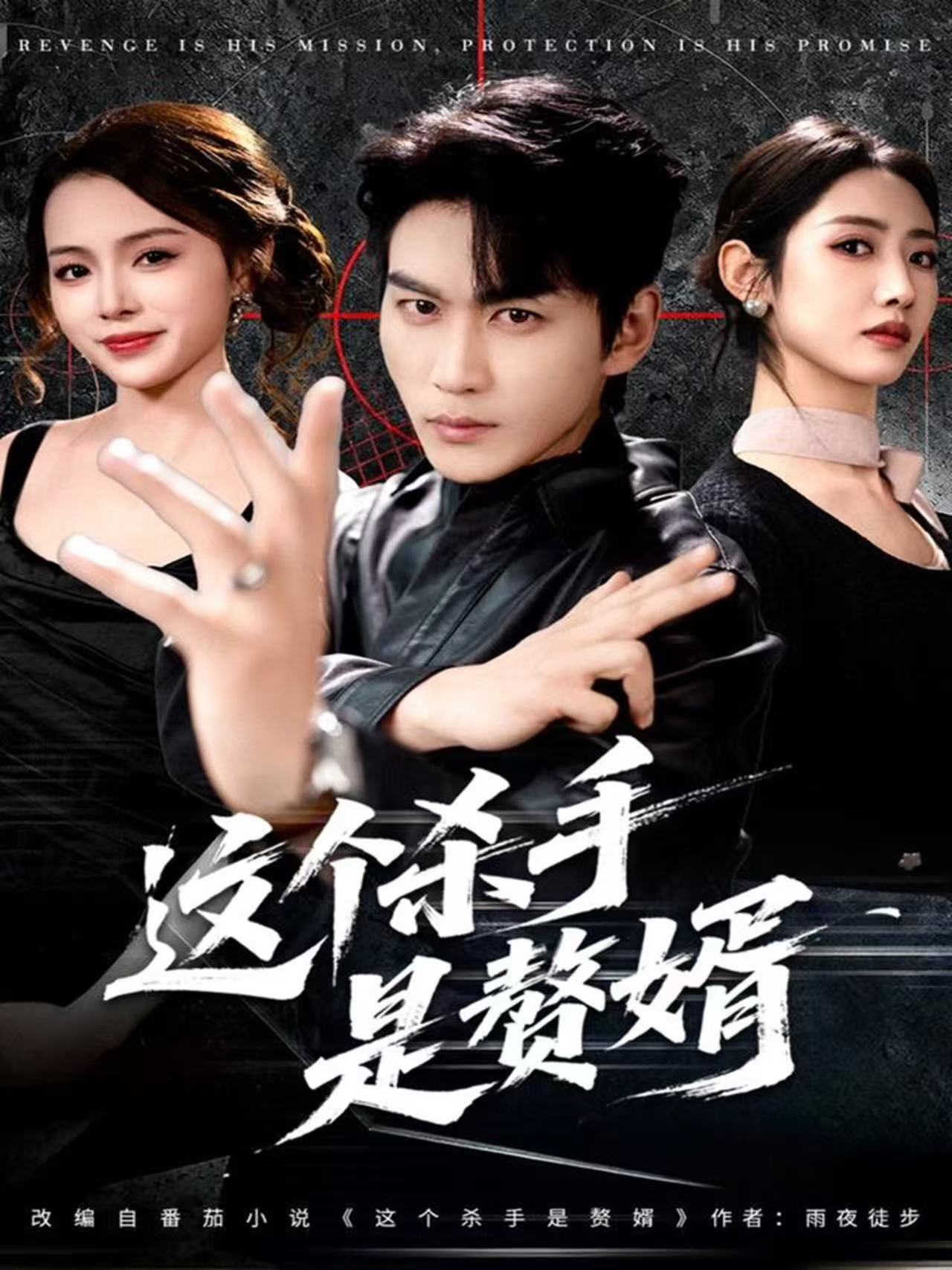 這個殺手是贅婿(全集)