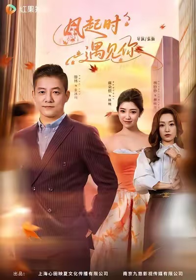 風(fēng)起時遇見你(全集)