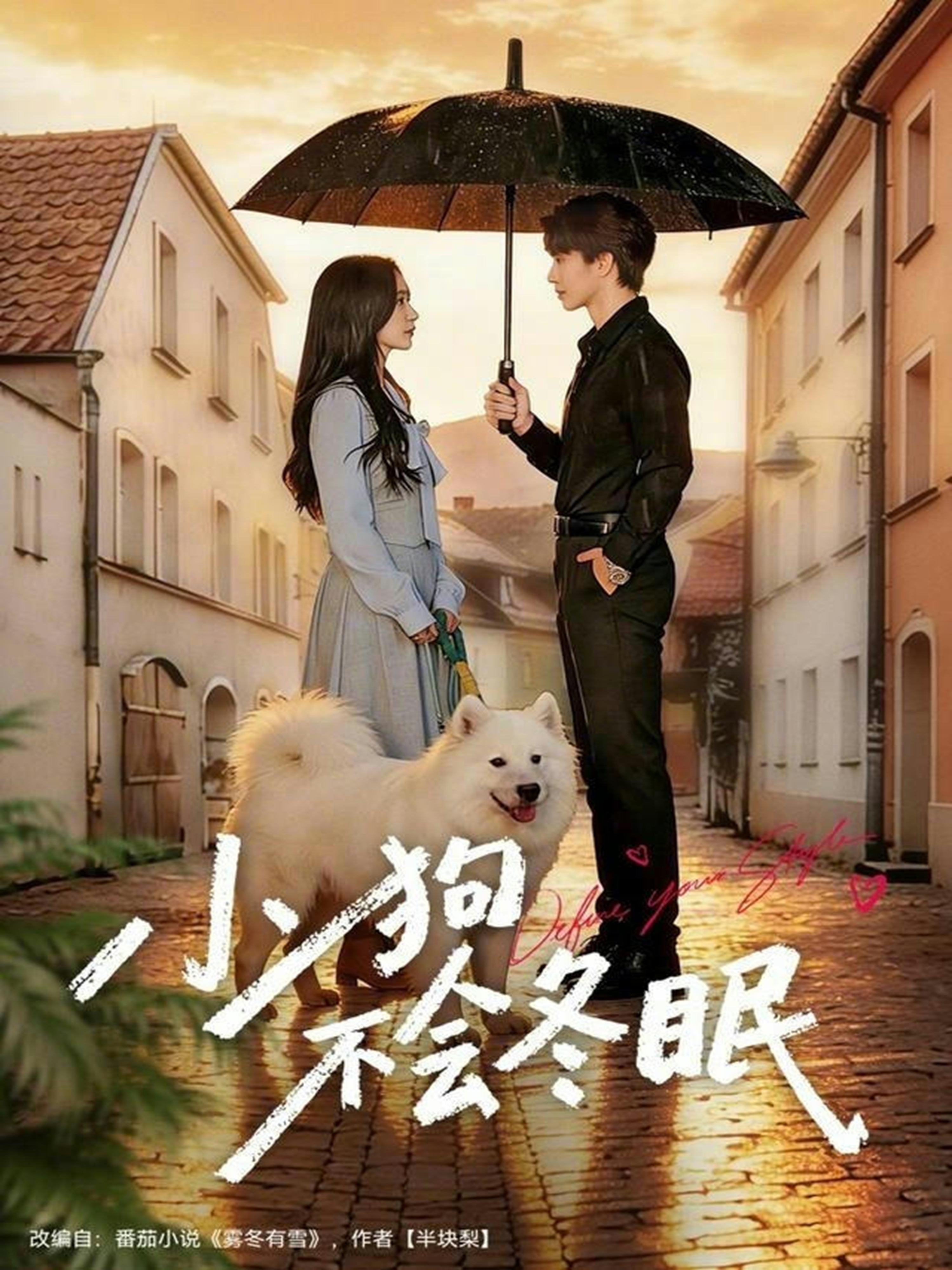 小狗不會(huì)冬眠(全集)