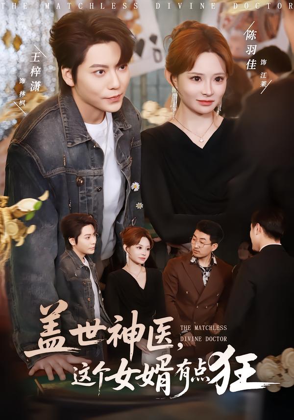 蓋世神醫(yī)，這個(gè)女婿有點(diǎn)狂(全集)