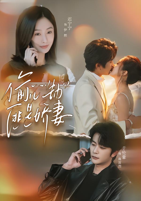 偷心劫匪是嬌妻(全集)