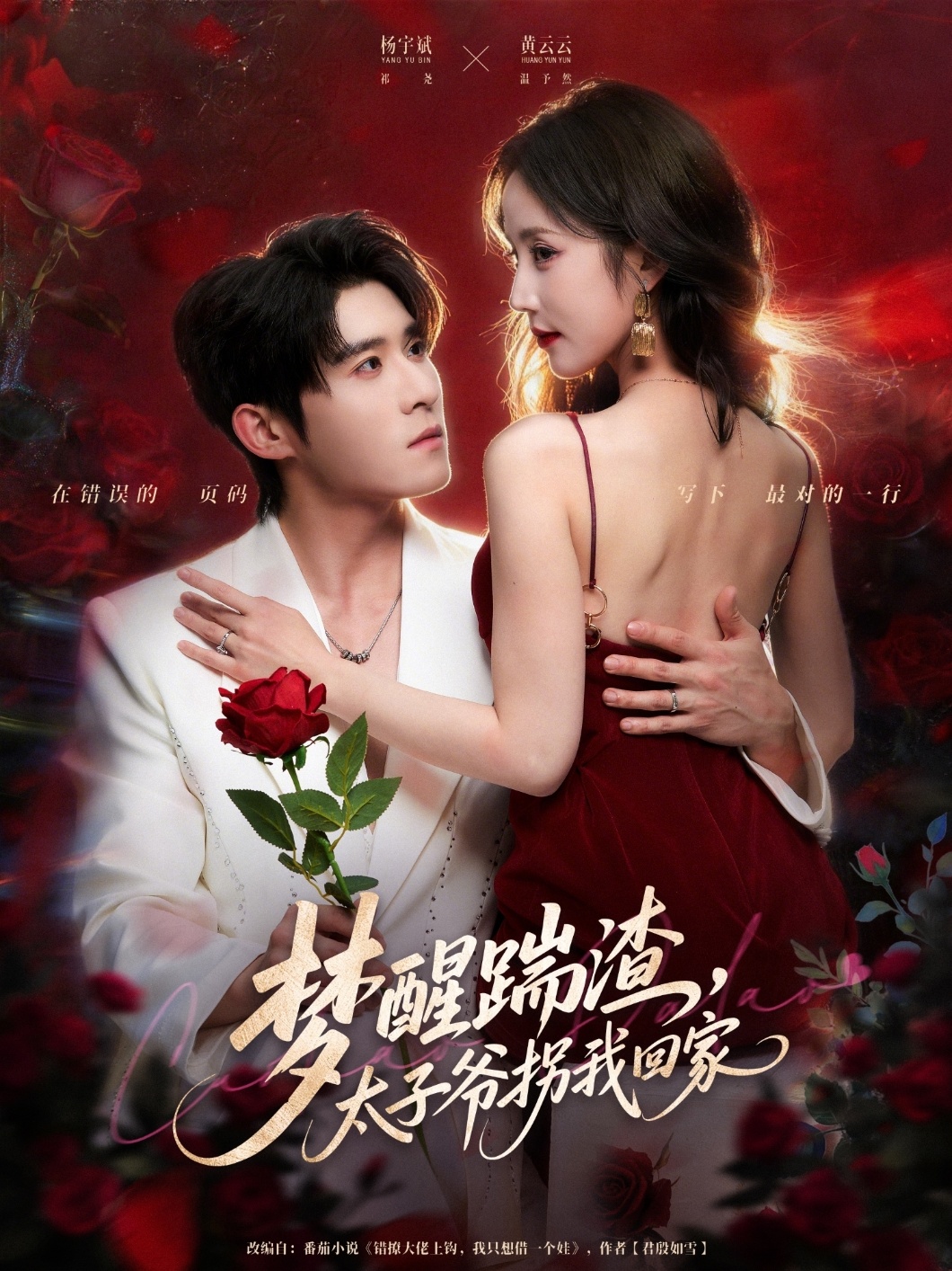 夢醒踹渣，太子爺拐我回家(全集)