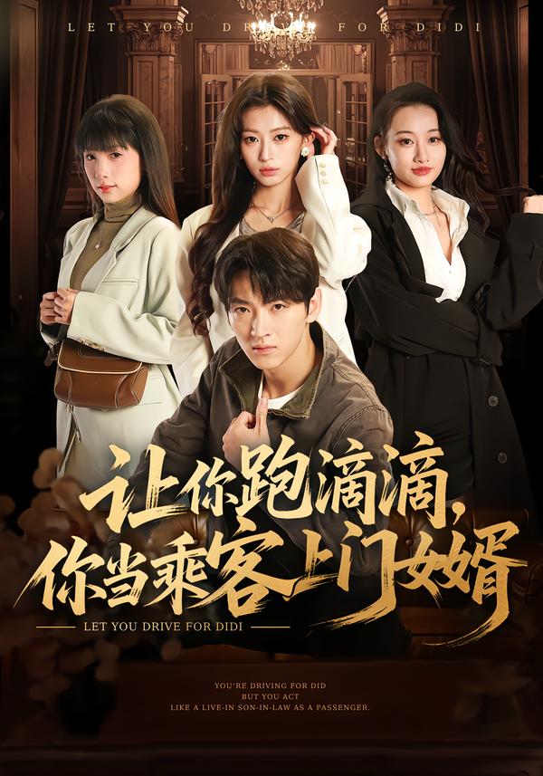 讓你跑滴滴，你當(dāng)乘客上門女婿(全集)