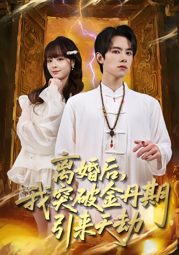 離婚后，我突破金丹期，引來(lái)天劫(全集)