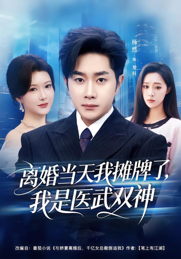 離婚當(dāng)天我攤牌了，我是醫(yī)武雙神(全集)