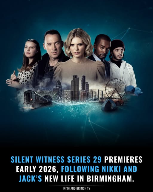 無(wú)聲的證言第二十九季(全集)