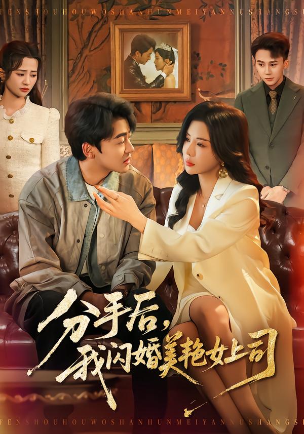 分手后，我閃婚美艷女上司(全集)