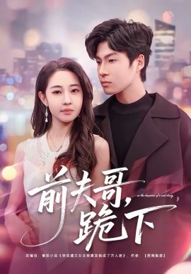 前夫哥，跪下(全集)