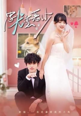 驚！我家來福變惡少了(全集)