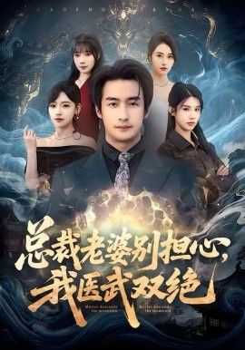 總裁老婆別擔(dān)心，我醫(yī)武雙絕(全集)