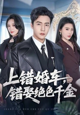 上錯(cuò)婚車，錯(cuò)娶絕色千金(全集)